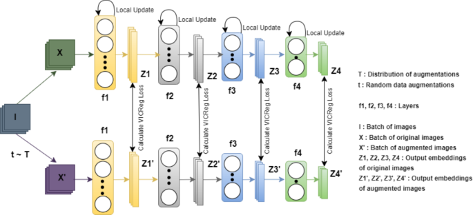 Deep representation learning using layer-wise VICReg losses