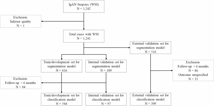 Deep Learning Analysis of Glomerular Morphology in IgA Nephropathy: Prognostic Insights from Whole Slide Images