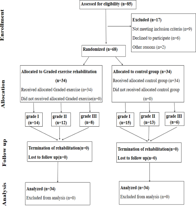 A randomized controlled trial of graded exercise rehabilitation enhances diaphragm function and exercise tolerance in patients with AECOPD