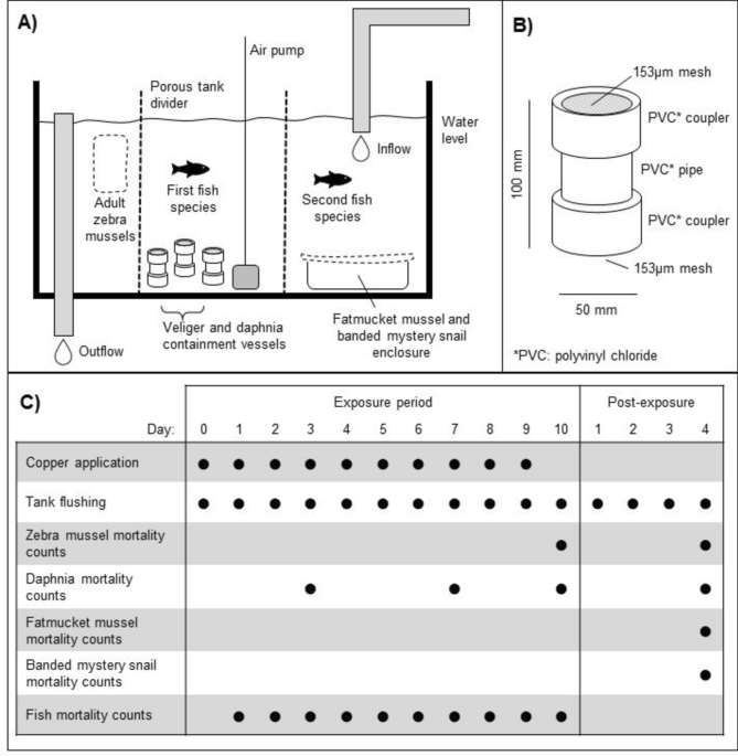 Using bioavailability modeling to refine copper treatments for zebra mussel control and better understanding risks to non-target species