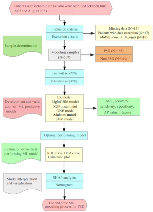 Creating and Analyzing a Machine Learning Model for Predicting Post-Stroke Depression in Chinese Patients