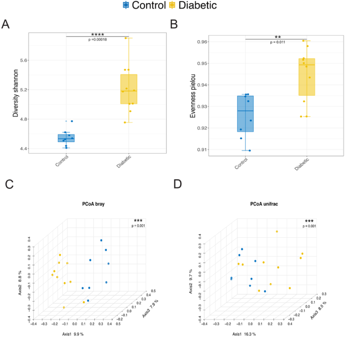Integrative analysis of gut microbiota and metabolic pathways reveals key microbial and metabolomic alterations in diabetes