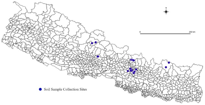 Antimicrobial potential of actinomycetes from high altitude Nepalese soils