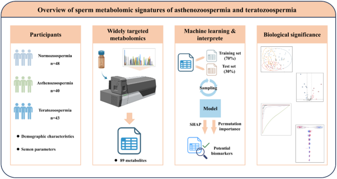 glutathione cum The role of peroxidase 4 in neuronal ferroptosis and its therapeutic potential in ischemic and hemorrhagic stroke Sperm metabolomic signatures of asthenozoospermia