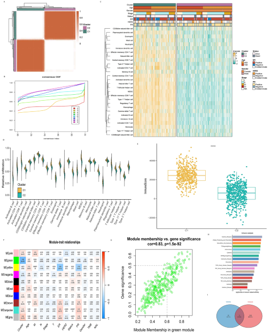Identifying Immune-Related LncRNA Biomarkers for Breast Cancer Prognosis Using Machine Learning and Multi-Omics