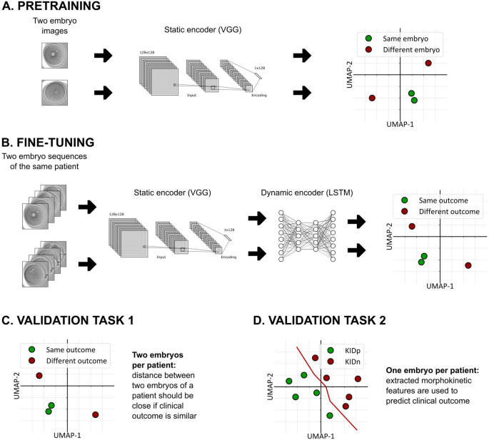 Enhancing Embryo Selection: A Deep Learning Approach Using Time-Lapse Imaging