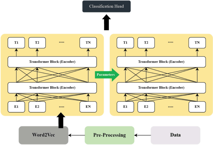 Enhanced Fake News Detection and Classification Through Transfer Learning with Large Language Models