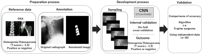 Deep learning algorithm for identifying osteopenia/osteoporosis using cervical radiography