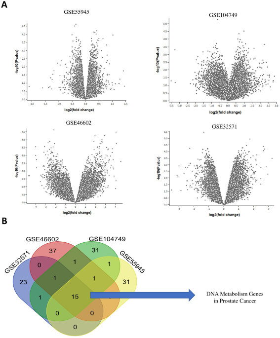 Revolutionizing Prostate Cancer Treatment: Uncovering DNA Metabolism Biomarkers with Machine Learning