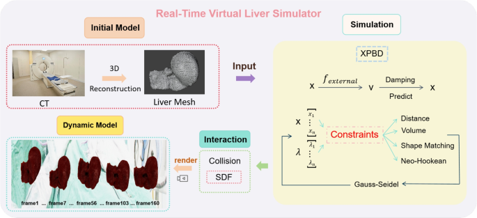 A real-time virtual liver simulator using position based dynamics with compliant constraints for medical applications A real-time virtual liver simulator using position based dynamics with compliant constraints for medical applications