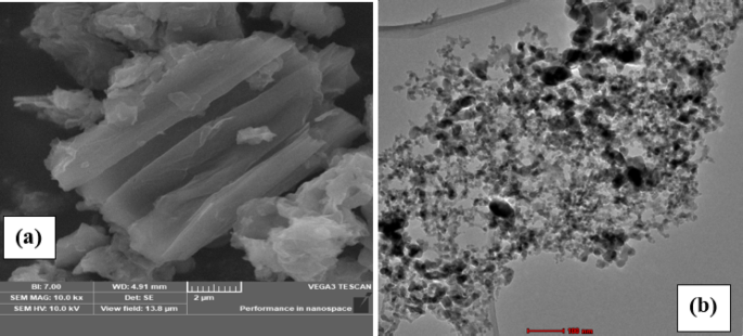 Enhancing Cooling Efficiency for PEMFCs with Hybrid Nanofluids