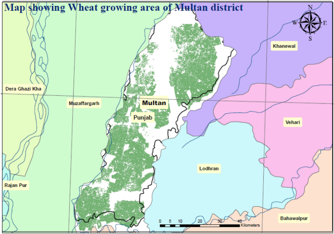 Enhancing Wheat Yield Predictions with Deep Learning and Diverse Environmental Data
