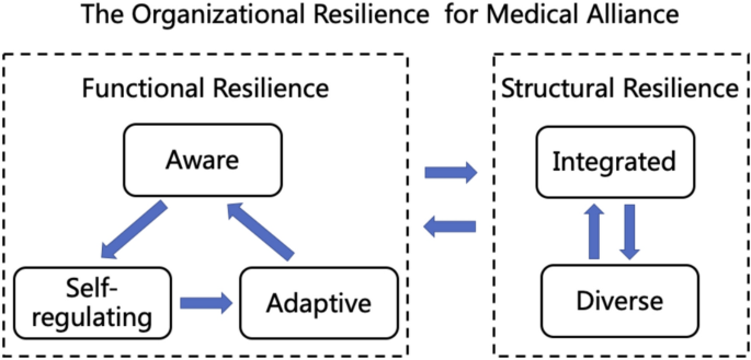 Identifying key factors for organizational resilience among medical alliance using the analytic hierarchy process method