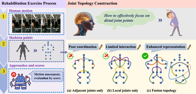 Frame topology fusion-based hierarchical graph convolution for automatic assessment of physical rehabilitation exercises