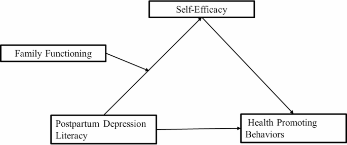 The influence of postpartum depression literacy on health promoting behaviors among postpartum women