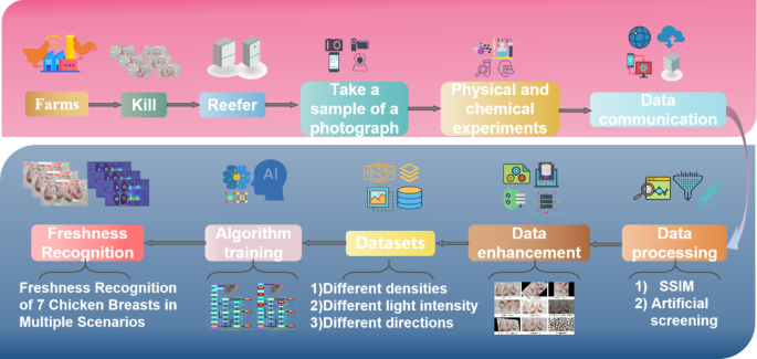 Deep Learning for Freshness Detection in Chicken Breast: A Nondestructive Approach