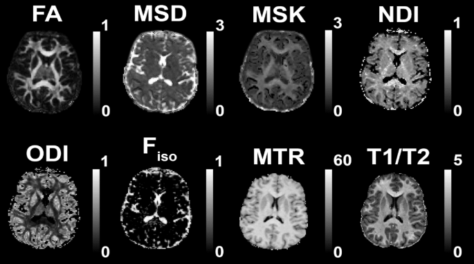 Statistik over casino spil performance