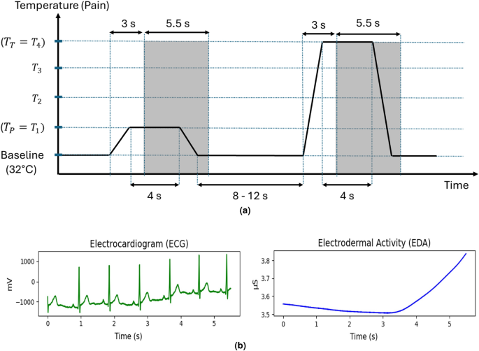 CrossMod-Transformer: A Deep Learning Framework for Multi-Modal Pain Detection Using EDA and ECG Fusion