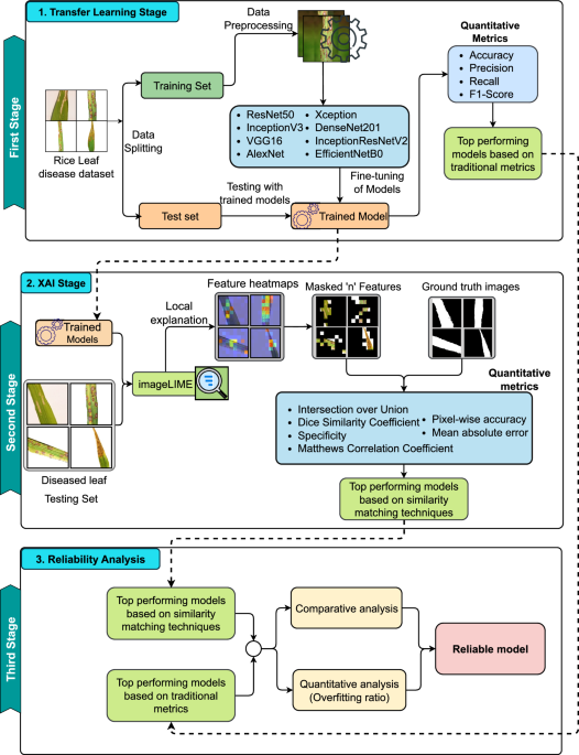 Evaluating Deep Learning Models for Rice Leaf Disease Detection: A Comprehensive Analysis with Explainable AI