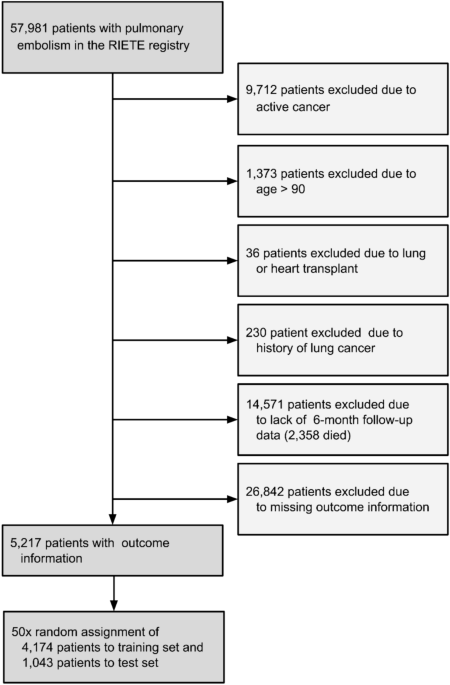 A machine learning approach to identify patients at risk for long-term consequences after pulmonary embolism
