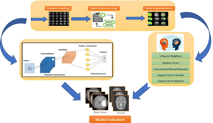 Improving Brain Tumor Detection with Deep Learning and Explainable AI through Multi-Feature Analysis