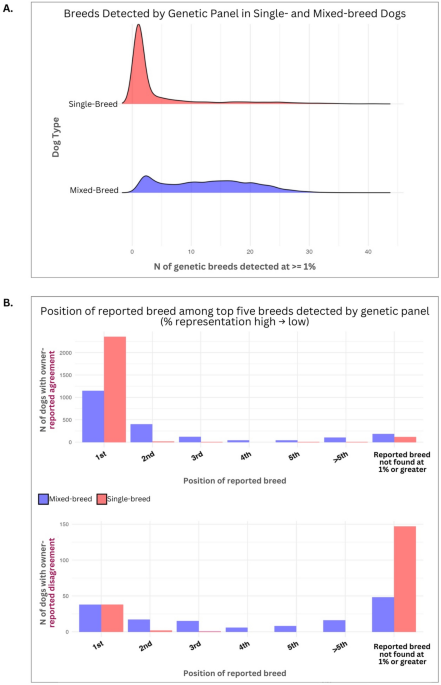 Comparing owner reported and genetic breed identification reveals high concordance in a large cohort from the Dog Aging Project