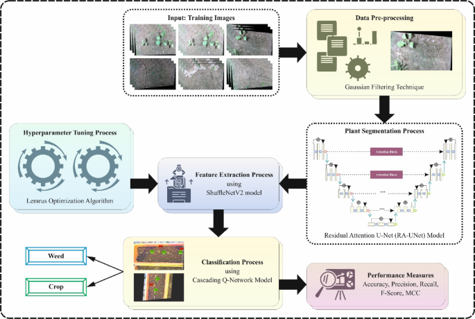 Optimized Deep Transfer Learning Model for Automated Weed and Crop Recognition