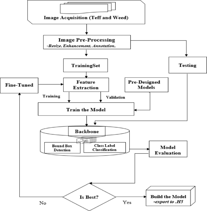 Deep Learning and UAV Imagery for Precise Weed Detection in Teff Crops