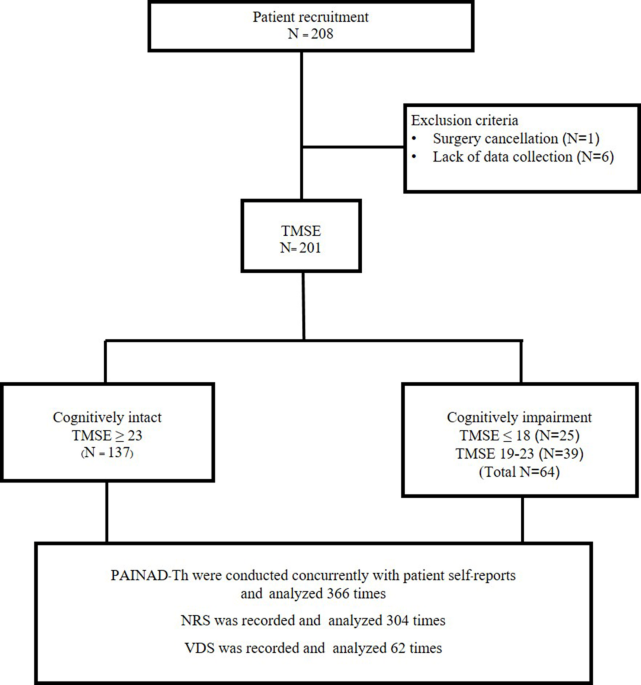 Concurrent validity of Thai version of pain assessment in advanced dementia scale versus self reported pain in cognitively impaired and intact geriatric surgical patients