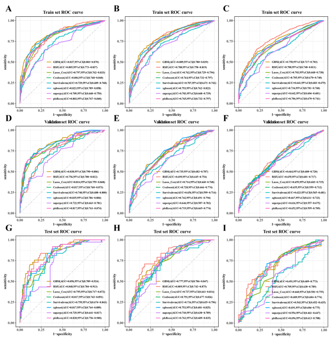 Building and Validating a Machine Learning Model for Survival Prediction in Asian Glioblastoma Patients