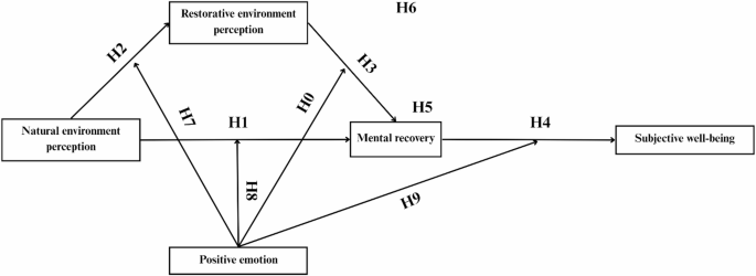 Nature perception and positive emotions in urban forest parks enhance subjective well-being