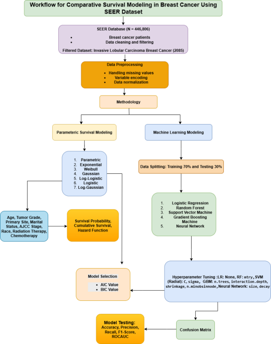 Comparing Parametric Survival Models and Machine Learning for Breast Cancer Prognosis