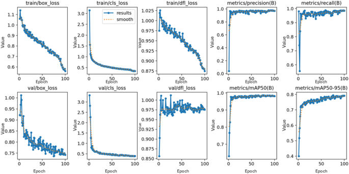 YOLOv12: A Deep Learning Framework for Classifying Bone Fragments in Owl Pellets