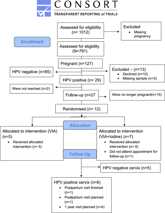 Assessing the feasibility of HPV screening for cervical cancer in pregnant women in Ethiopia