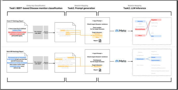 Enhanced Entity Classification and Relationship Mapping in Radiology Reports Using a Two-Stage Large Language Model