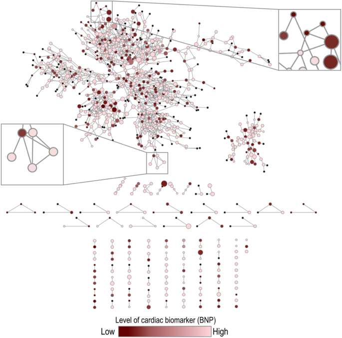 Educational attainment in sociocentric networks associates with cardiac biomarkers in Korean elders