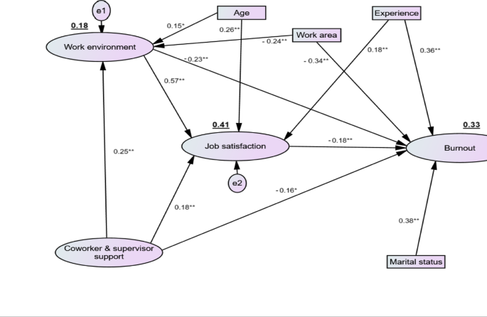 Job satisfaction as a mediator between organizational factors, work environment, and burnout among Jordanian midwives