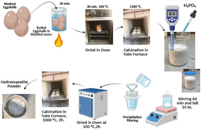 Uses and benefits of dried egg shells