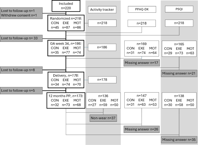 Mapping postpartum physical activity, sedentary time, and sleep: assessing the impact of prenatal physical activity interventions in the FitMum randomized controlled trial