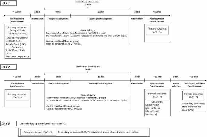 A quasi-randomised pilot study on the efficacy and perceived usefulness of adding chemosignals to mindfulness practice for women with social anxiety