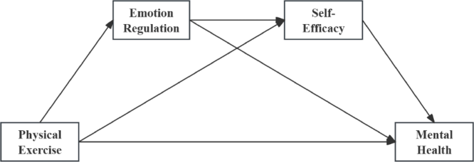 The impact of physical exercise on college students’ mental health through emotion regulation and self-efficacy