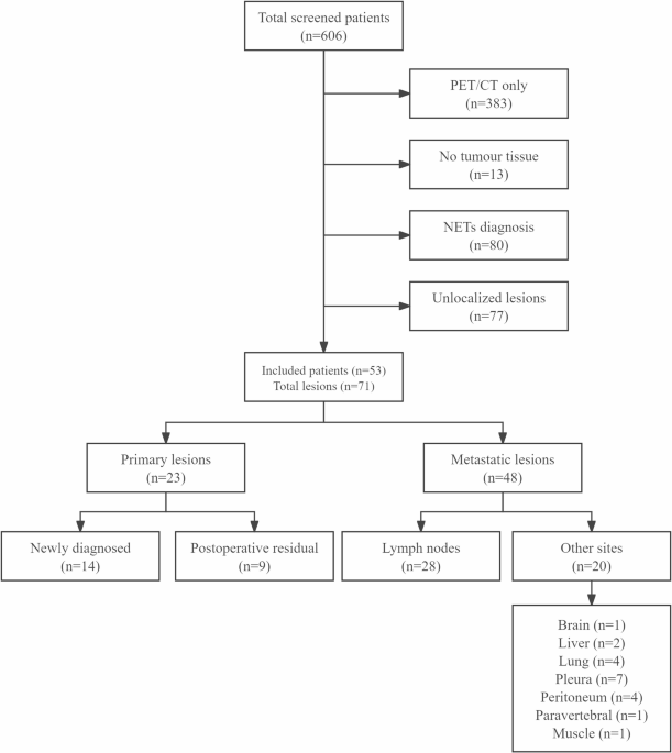 Pathological validation of 18F-AlF-NOTA-octreotide PET/CT for ...