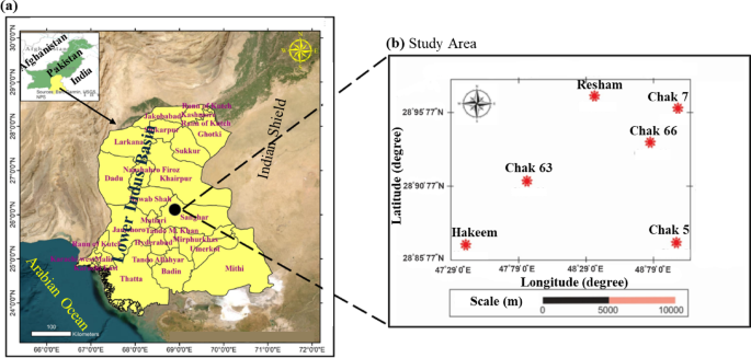 Optimizing Lithofacies Prediction in the Lower Goru Formation Using Diverse Machine Learning Algorithms