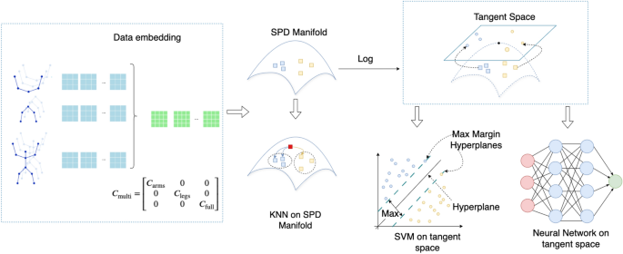 Multiscale SPD manifold learning for rehabilitation exercise evaluation