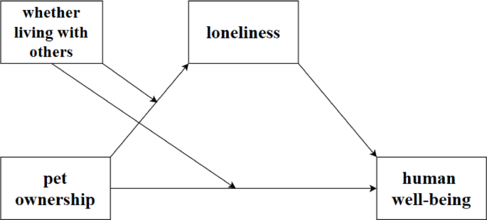 The mediating role of loneliness in the relationship between pet ...