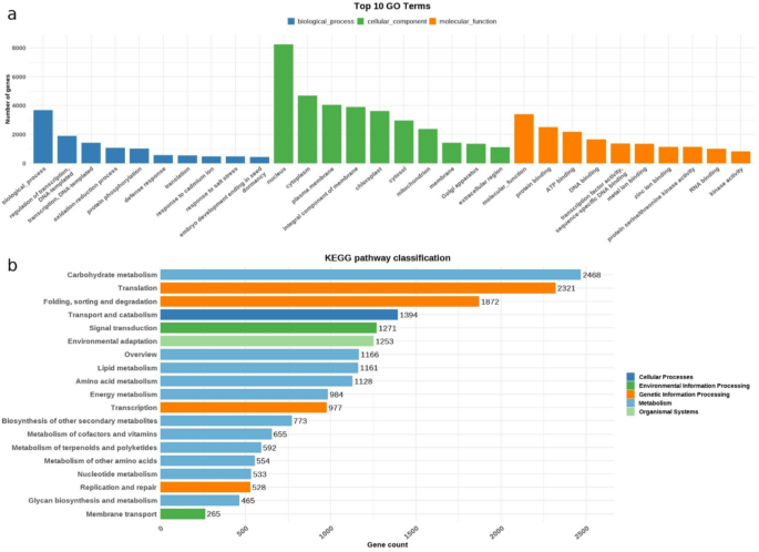 Comparative transcriptome profiling reveals molecular mechanisms of ...