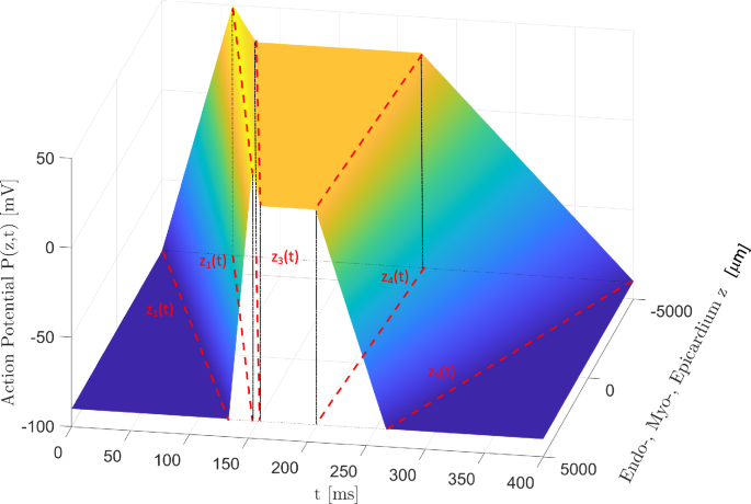 A mathematical approach to demonstrate R to T wave concordance of the ...