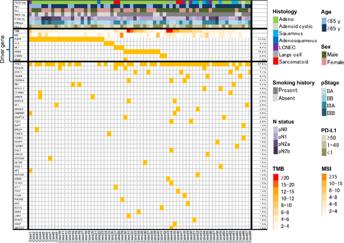 Clinical utility of comprehensive genomic profiling versus Oncomine Dx ...