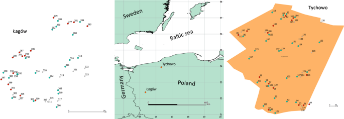 Heritability of early seedling growth in Taxus baccata, a declining conifer