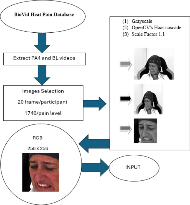 Machine learning methods on BioVid heat pain database for pain intensity estimation